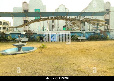 Islamabad, Pakistan - 21 gennaio 2025: Pakistan Museum of Natural History, Islamabad Foto Stock