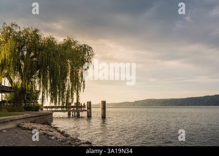 Atmosfera mattutina sulla riva del lago, Sipplingen, lago di Costanza, Baden-Württemberg, Germania Foto Stock