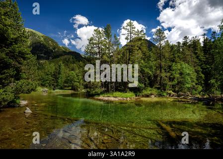 Pianura di Aigüestortes, in estate (Parco Nazionale di Aigüestortes e Estany de Sant Maurici, Pirenei, Catalogna, Spagna) ESP: Planell d'Aigüestortes, Lérida Foto Stock