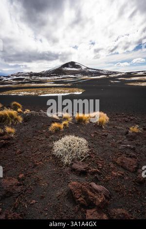 Regione vulcanica rara e incredula di la Payunia a Mendoza, Argentina Foto Stock