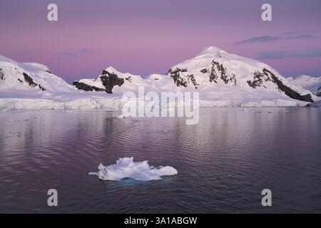 Paradise Bay, Antartide al crepuscolo. Foto Stock