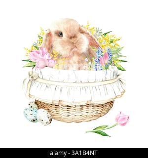 Coniglio soffice rosso in un cesto con tulipani, mimosa e uova di quaglia su sfondo bianco. L'illustrazione è disegnata a mano con acquerello. Ideale per tessuti, imballaggi e design Foto Stock