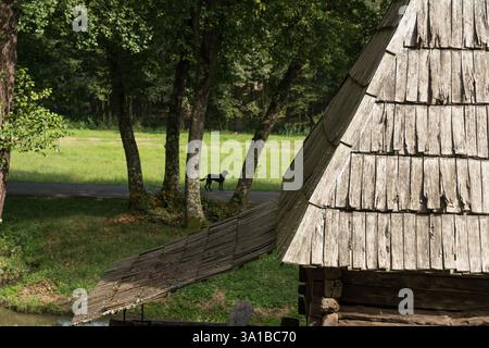 ASTRA Museo Nazionale complesso Civilizației Muzeul Populare Tradiționale ASTRA Foto Stock