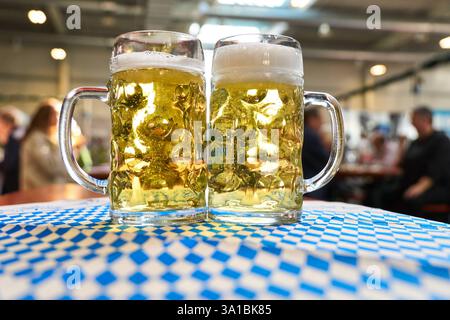 Augusta, Baviera, Germania - 7 marzo 2025: Due tazze da birra ripiene si trovano su una tovaglia bavarese *** Zwei gefüllte Bierkrüge stehen auf einer bayerischen Tischdecke Foto Stock