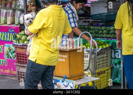 Bangkok, Thailandia - 5 dicembre 2015: Donna asiatica che tiene il suo cane da compagnia. Stanno donando denaro nella scatola delle donazioni per aiutare i cani randagi sul mercato Foto Stock