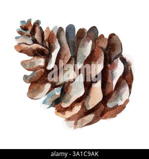 Cono di pino marrone . Illustrazione acquerello su sfondo bianco. Un set di fiori viola con steli. Isolare. Foto Stock