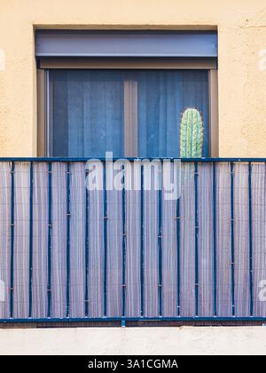 Un suggestivo cactus è esposto in modo prominente su un balcone di Barcellona, che mescola vita urbana con la natura. La ringhiera blu contrasta con la parete calda Foto Stock