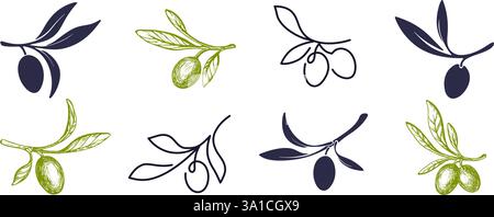 Ramoscello d'oliva. Schizzo vettoriale, linea continua impostata per il menu di progettazione, simbolo in bianco e nero a olio. Dettagli illustrazione greca isolata su un dorso trasparente Illustrazione Vettoriale