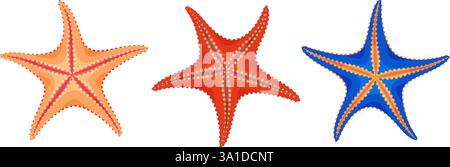 Set di icone a stella marina. Icone isolate di stelle marine di stile piatto e alla moda disegnate a mano da animali marini. Animali sottomarini Echinoderm. Illustrazione di Summer Vector per web design, biglietto d'auguri, poster tatuaggio Illustrazione Vettoriale