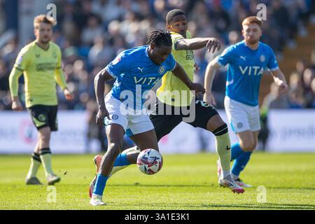 Durante la partita Sky Bet League 1 tra Stockport County e Charlton Athletic all'Edgeley Park Stadium di Stockport, sabato 8 marzo 2025. (Foto: Mike Morese | mi News) crediti: MI News & Sport /Alamy Live News Foto Stock