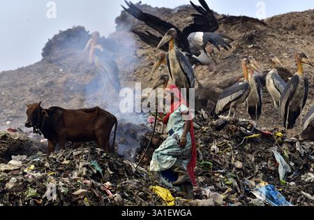 Guwahati, Guwahati, India. 8 marzo 2025. Una donna raccoglitrice di rifiuti raccoglie il materiale di scarto da una discarica di rifiuti durante la giornata mondiale della donna a Guwahati in India sabato 8 marzo 2025. Foto-DASARATH DEKA (Credit Image: © Dasarath Deka/ZUMA Press Wire) SOLO PER USO EDITORIALE! Non per USO commerciale! Foto Stock