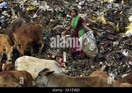 Guwahati, Guwahati, India. 8 marzo 2025. Una donna raccoglitrice di rifiuti raccoglie il materiale di scarto da una discarica di rifiuti durante la giornata mondiale della donna a Guwahati in India sabato 8 marzo 2025. Foto-DASARATH DEKA (Credit Image: © Dasarath Deka/ZUMA Press Wire) SOLO PER USO EDITORIALE! Non per USO commerciale! Foto Stock