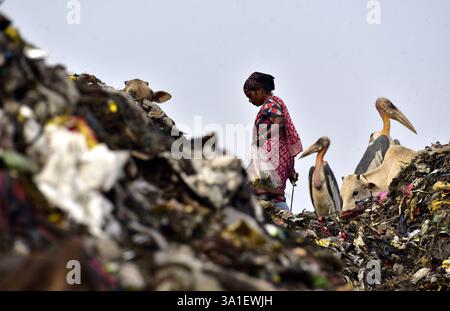 Guwahati, Guwahati, India. 8 marzo 2025. Una donna raccoglitrice di rifiuti raccoglie il materiale di scarto da una discarica di rifiuti durante la giornata mondiale della donna a Guwahati in India sabato 8 marzo 2025. Foto-DASARATH DEKA (Credit Image: © Dasarath Deka/ZUMA Press Wire) SOLO PER USO EDITORIALE! Non per USO commerciale! Foto Stock