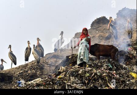 Guwahati, Guwahati, India. 8 marzo 2025. Una donna raccoglitrice di rifiuti raccoglie il materiale di scarto da una discarica di rifiuti durante la giornata mondiale della donna a Guwahati in India sabato 8 marzo 2025. Foto-DASARATH DEKA (Credit Image: © Dasarath Deka/ZUMA Press Wire) SOLO PER USO EDITORIALE! Non per USO commerciale! Foto Stock