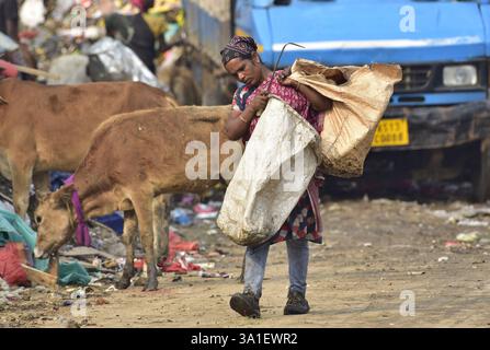 Guwahati, Guwahati, India. 8 marzo 2025. Una donna raccoglitrice di rifiuti raccoglie il materiale di scarto da una discarica di rifiuti durante la giornata mondiale della donna a Guwahati in India sabato 8 marzo 2025. Foto-DASARATH DEKA (Credit Image: © Dasarath Deka/ZUMA Press Wire) SOLO PER USO EDITORIALE! Non per USO commerciale! Foto Stock
