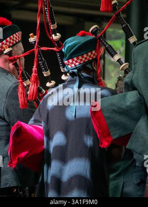 Glasgow, Scozia, Regno Unito. 8 marzo 2025: Glasgow St Patrick's Festival Family Fun Day in The Merchant Square, Glasgow. Foto Stock