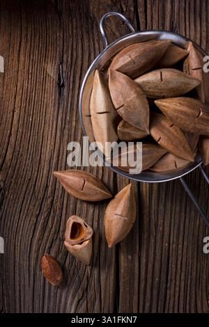 Canarium ovatum, comunemente noto come pili è una specie di alberi tropicali Foto Stock