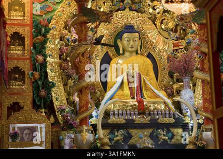 Statua del Signore Buddha in stile tibetano, Vajra Vidya Sansthan, Sarnath, Uttar Pradesh, India, Asia Foto Stock