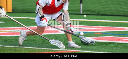 Due atleti si impegnano in una pratica competitiva, dimostrando abilità con i loro bastoncini da lacrosse in un vivace campo di erba. Foto Stock