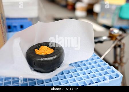 Panino di ricci di mare al vapore di Hamada Shoten, sopra una cassa di plastica blu al mercato del pesce esterno di Tsukiji a Chuo, Tokyo, Giappone Foto Stock
