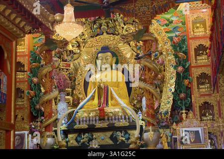 Statua del Signore Buddha in stile tibetano, Vajra vidya Sansthan, Sarnath, Uttar Pradesh, India, Asia Foto Stock