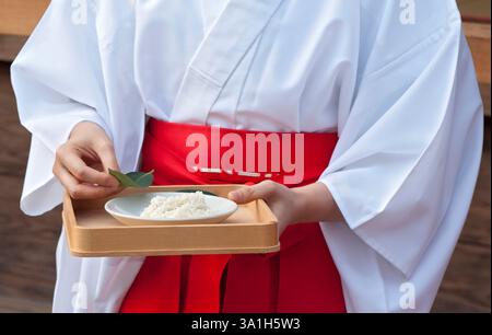 Una fanciulla del santuario miko vestita in abiti rossi e bianchi contiene foglie di sakaki e un piatto di riso cerimoniale come offerta ad una divinità shintoista, Kyoto Giappone. Foto Stock