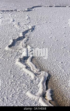 Lago salato, Navlakhi, Kutch, Gujarat, India, Asia Foto Stock