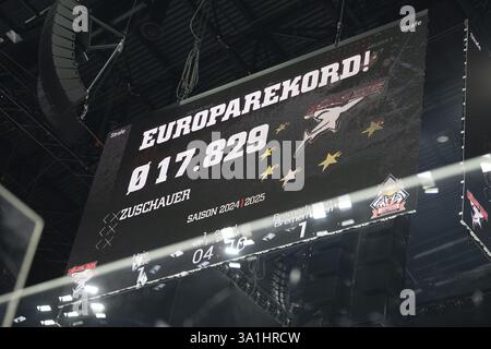 LanxessArena, Colonia, Renania settentrionale-Vestfalia, PENNY DEL, Koelner Haie-Fischtown Pinguins il 07/03/2025 alla LanxessArena di Colonia Germania Foto Stock