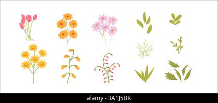Colorate illustrazioni floreali con vari fiori e foglie. Illustrazione Vettoriale