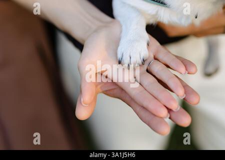 Un momento tenero catturato come una coppia condivide un tocco amorevole con il loro piccolo cane. La luce solare filtra delicatamente attraverso il fogliame, creando un'atmosfera serena Foto Stock