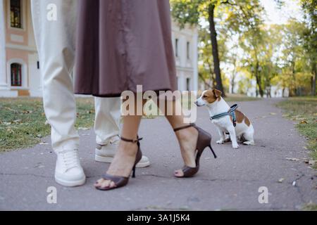 Una donna con i tacchi eleganti cammina accanto a un uomo vestito in modo informale mentre si rilassa in un parco pittoresco. Il loro cane curioso siede nelle vicinanze, immergendosi nel vib Foto Stock