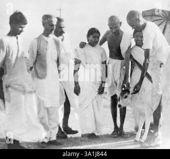 Balwant Singh, Mahatma Gandhi, Durga Mehta (c) e altri salutano un vitello appena nato a Sevagram Ashram, c1938 NA MR Foto Stock