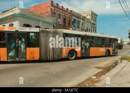 L'Avana, Cuba 2024 Apr17 - la gente del posto prende l'autobus pubblico durante l'ora di punta. Lungo autobus articolato o bizzarro sulla strada dell'Avana, affollato di passeggeri; packe Foto Stock