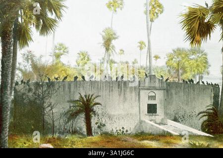 Parsi Tower of Silence, mumbai Bombay, Maharashtra, INDIA Foto Stock