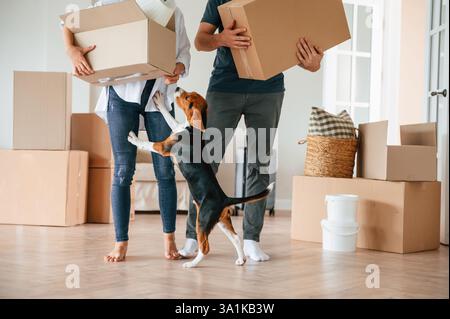 Vista ravvicinata delle gambe. La giovane coppia con il cane si sta trasferendo in una nuova casa. Foto Stock