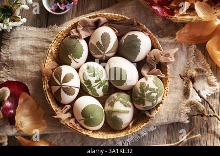 Uova di Pasqua crude con erbe attaccate a loro in un cestino, pronto per essere tinto con bucce di cipolla, vista dall'alto Foto Stock