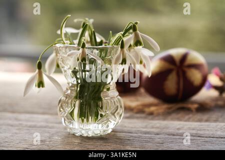 Fiori di neve raccolti all'inizio della primavera con uova di Pasqua marroni tinte con bucce di cipolla sullo sfondo Foto Stock