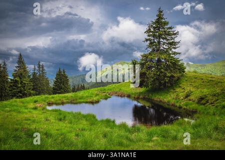 Giornata piovosa con spettacolari nuvole scure e bellissimo laghetto sulla verde foresta glade Foto Stock