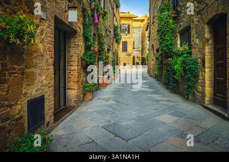 Pittoresca e accogliente vista sulla strada lastricata con vecchie case in pietra decorate con fiori colorati e piante verdi ornamentali, Toscana, Europa Foto Stock