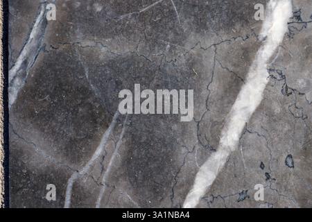 Primo piano della superficie in marmo grigio con venature bianche e scure. La composizione riempie la cornice, evidenziando la consistenza della pietra. Foto Stock