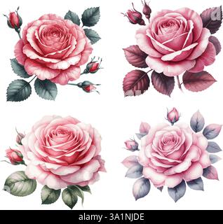 Set di illustrazioni vettoriali acquerello delle rose Illustrazione Vettoriale