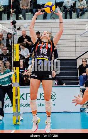 Erfurt, Germania. 8 marzo 2025. Pia Kästner (MTV Stuttgart, 18) beim Zuspiel, 08.03.2025, Erfurt (Deutschland), pallavolo, 1) Bundesliga Frauen, Schwarz-Weiss Erfurt - Allianz MTV Stoccarda credito: dpa/Alamy Live News Foto Stock