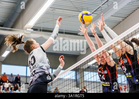 Erfurt, Germania. 8 marzo 2025. Pia Mohr (Schwarz-Weiss Erfurt, 10) überwindet den Block von Marie Steinhilber (MTV Stuttgart, 16) und Maria Segura Palleres (MTV Stuttgart, 33), 08.03.2025, Erfurt (Deutschland), pallavolo, 1) Bundesliga Frauen, Schwarz-Weiss Erfurt - Allianz MTV Stoccarda credito: dpa/Alamy Live News Foto Stock