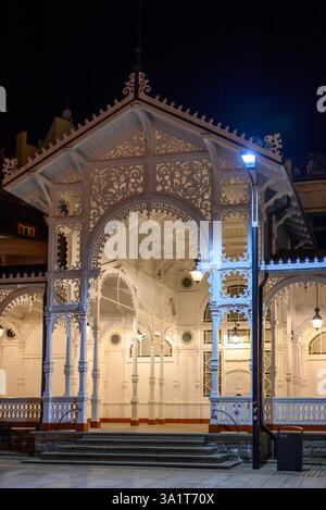 Il mercato colonnato in legno riccamente intagliato a Karlovy Vary, Carlsbad, vecchia città termale storica con sorgenti termali nella regione occidentale della Boemia, nella Repubblica Ceca Foto Stock