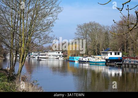 Il fiume e il Tamigi a Molesey in una giornata di primavera soleggiata, Surrey Inghilterra Regno Unito Foto Stock