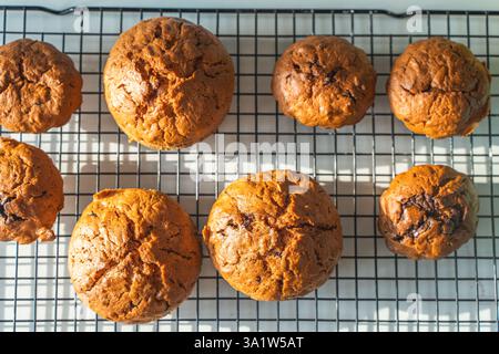 Muffin alla carota di mele sul Cooling rack dessert pasquale fatto in casa. Foto di alta qualità Foto Stock