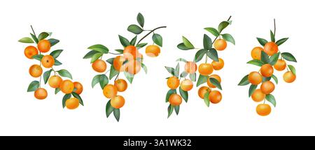 Acquerello mandarino. Ramo di alberi da frutto, foglie e piante di mandarino tropicale, vitamine botaniche agrumi freschi. Alberi di mandarino naturali. Decorativo vettoriale Illustrazione Vettoriale