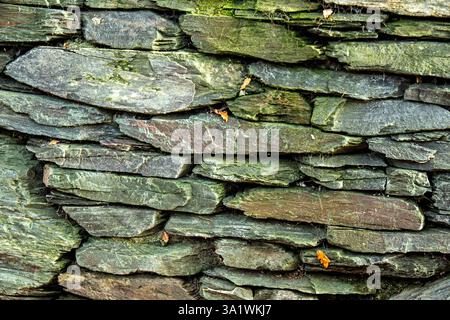 Un muro di mattoni di ardesia grigio blu non tagliato Foto Stock