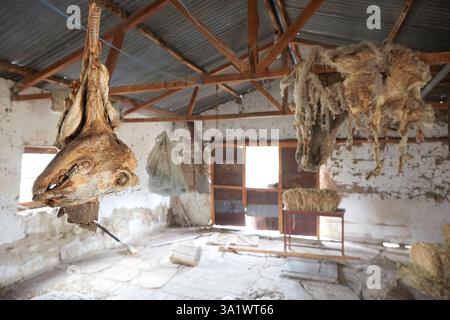 Un capannone abbandonato a Estancia Los Toldos, Pico Truncado, Santa Cruz, Deseado, Patagonia, Argentina. Foto Stock