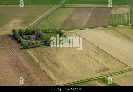 Veduta aerea, la Foresta del Reno Perrich, prati e campi e casa residenziale su Perricher Weg circondata da alberi, Ginderich, Wesel, basso Reno, Nor Foto Stock